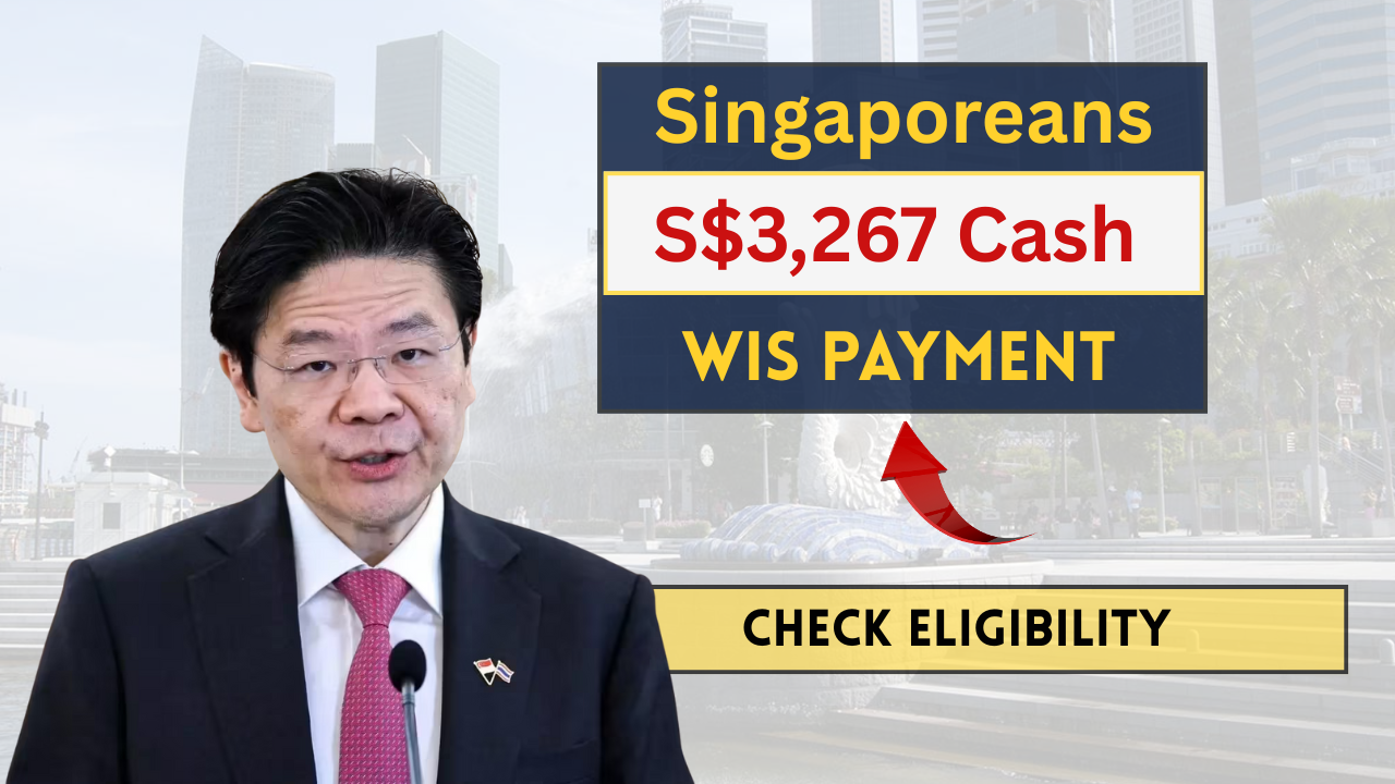 WIS Payment